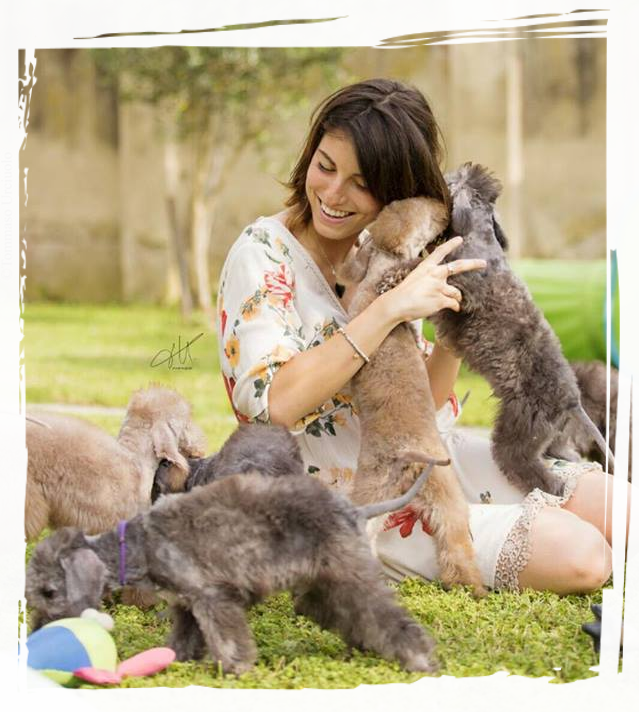 Alice's puppies