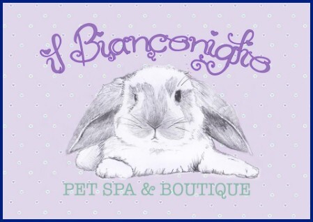 il Bianconiglio: pet SPA & Boutique