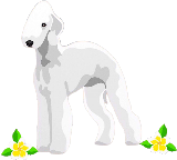 Plumeria's logo