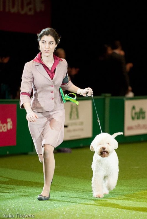 Alice Varchi handler Alice Varchi handler